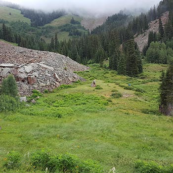 Manti La Sal National Forest Camping